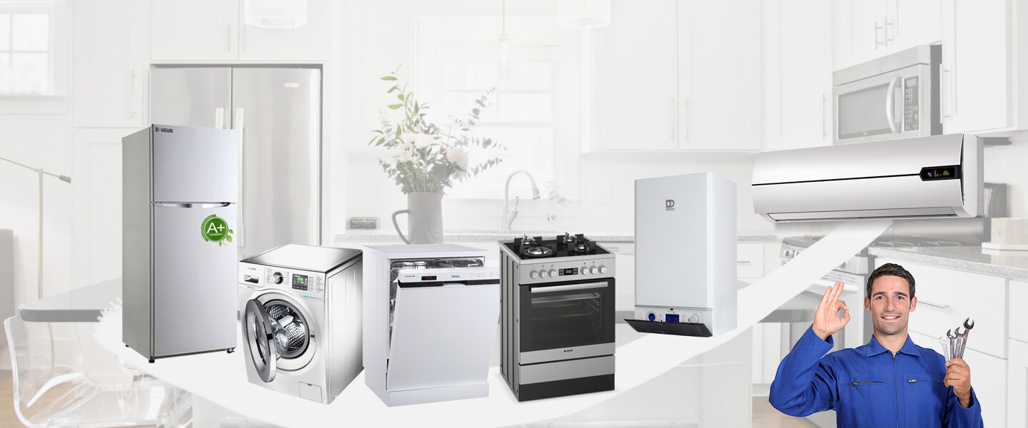 Delice Dominox Servisi